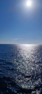 Propósitos que llegan con el mar