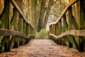 ¿A dónde nos lleva el puente?